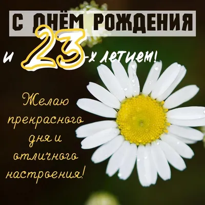 С 23 летием картинки