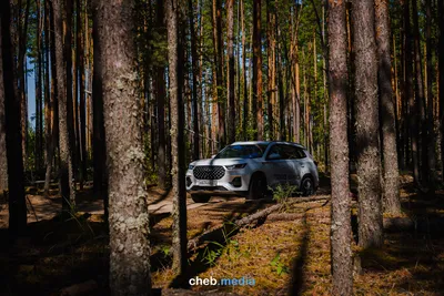 Семейный кроссовер Chery Tiggo 8 Pro. Или как обойти европейцев на  российском рынке? картинки