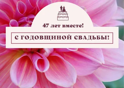 47 лет совместной жизни - кашемировая свадьба: поздравления, открытки, что  подарить, фото-идеи торта картинки