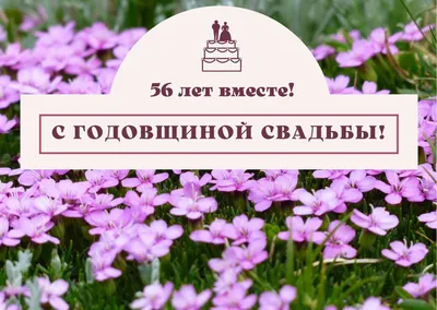 56 лет совместной жизни - ситцевая свадьба: поздравления, открытки, что  подарить, фото-идеи торта картинки