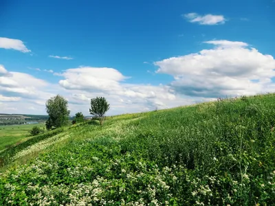 Весна лето картинки