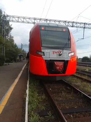 Наш отдых в деревне. Экономный и радостный...Сестра оставила домик в  деревне нам | Малайка с балалайкой | Дзен картинки