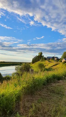 Лето в деревне | Пикабу картинки