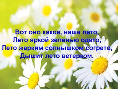 Презентация «Лето - это маленькая жизнь» - Методические разработки  Малиночки (Кухоткиной) Т.Д. - Методические разработки / Отчеты /  Консультации - ГБДОУ №115 картинки