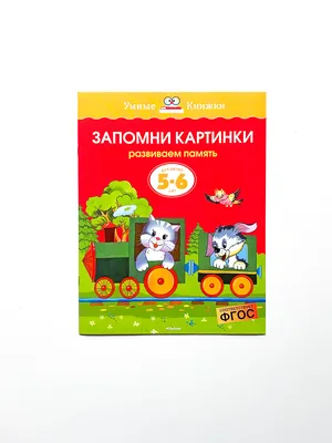 Запомни картинки. Развиваем память. Для детей 5-6 лет - Vilki Books картинки