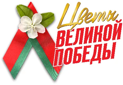 Республиканский патриотический проект «Цветы Великой Победы». Новости  Детский сад № 27 г. Гродно картинки