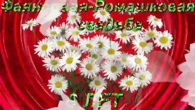 9 лет Свадьбы поздравления в стихах, прозе и своими словами картинки