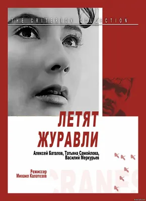 Показ фильма \"Летят журавли\" (1957) в нашем субботнем КИНОклубе |  Астанайское Православное Молодёжное Движение картинки