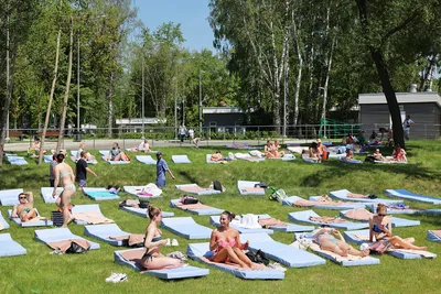 В Москве наконец-то лето картинки