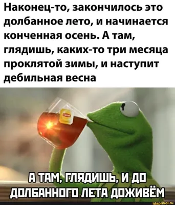 Если вы сомневаетесь в необходимости буквы \"Е\", то сравните две фразы: \"Все  выпили\" и \"Всё выпили\". Всего-то две точки, а какой … в 2023 г | Мемы,  Веселые мемы, Смешные мемы картинки