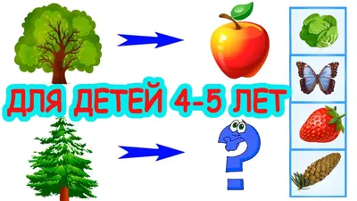 Для детей 4-5 лет развивающие мультики тесты. Головоломки для детей -  YouTube картинки