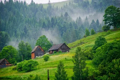 Климат Карпат: когда и почему стоит ехать отдыхать - Отель «Коруна» картинки