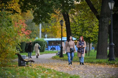 Даны прогнозы по срокам прихода бабьего лета в Москву - Мослента картинки