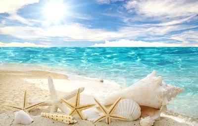 Обои песок, море, пляж, солнце, звезды, ракушки, summer, sunshine, beach,  sea, sand, seashells, starfishes картинки на рабочий стол, раздел природа -  скачать картинки