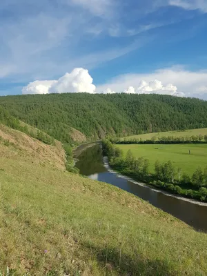 Лето | Пикабу картинки