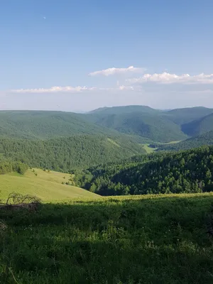 Лето | Пикабу картинки