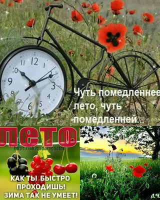 Идеи на тему «Лето» (280) | лето, открытки, цитаты про лето картинки