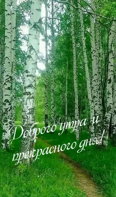 Пин от пользователя Клара Хайтман на доске ПОЗДРАВЛЕНИЯ ПО ИМЕНАМ |  Пейзажи, Живописные пейзажи, Доброе утро картинки