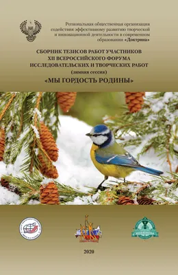 Сборник тезисов работ Всероссийского форума \"Мы гордость Родины\" 2020-3 by  mail6993 - Issuu картинки