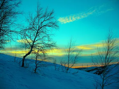 Зима осень весна лето картинки