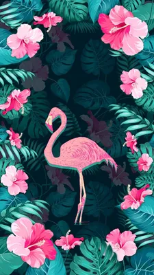 Pin by 🍉みなみ(ゝω∂)🍧🍹 on インスタ映え！(^_^)/ | Flamingo wallpaper, Cute wallpaper  backgrounds, Art wallpaper картинки