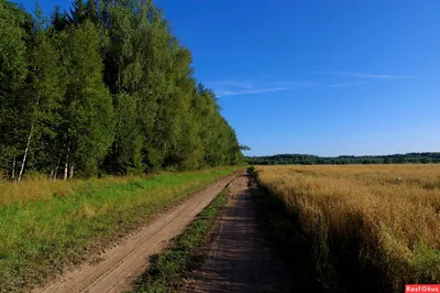 Фото: Лето.Август.... Фотограф Андрей Фёдоров. Пейзаж - Фотосайт Расфокус.ру картинки