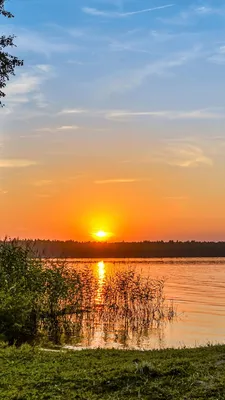 Скачать обои и картинки лес, деревья, трава, берег, озеро, вода, волны,  небо, закат, лодка, лето для рабочего стола в разрешении 800x1420 картинки