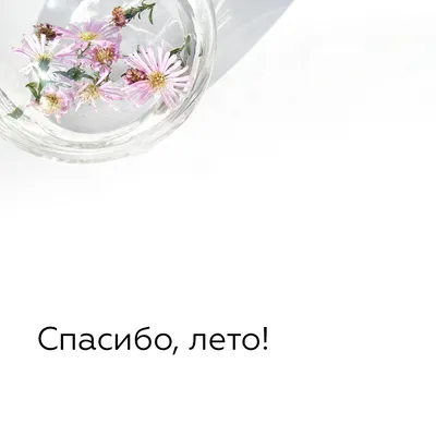 Если рейс задержали, а багаж потеряли: памятка для путешественников картинки