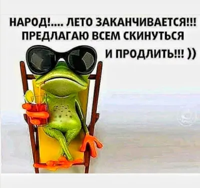 ЛЕТО ЗАКАНЧИВАЕТСЯ!! 🥀🐸🥀 | Смешные смайлики, Юмористические цитаты,  Веселые высказывания картинки