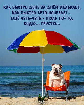 Конец Июля | Umbrella картинки