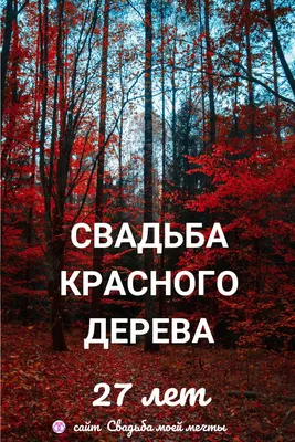 27 лет свадьбы | Свадьба, Лето, Годовщина свадьбы картинки