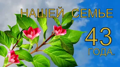 Вафельная картинка для торта на годовщину свадьбы 43 года. Украшение для  торта в подарок любимому человеку на Годовщина свадьбы. Съедобная картинка,  декор для выпечки. - купить с доставкой по выгодным ценам в картинки