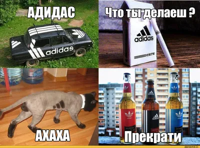 Арт, искусство, приколы : Adidas картинки