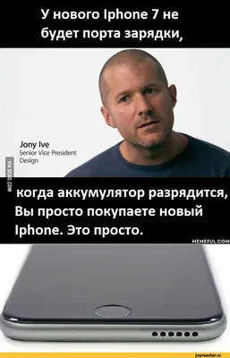 арт, искусство, приколы : Чехол для iPhone КОТ С ТАБЛИЧКОЙ картинки