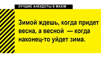 Лучшие анекдоты про зиму, мороз и холод | MAXIM картинки