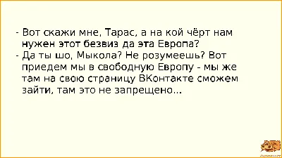 Видеооткрытка Анекдоты про зиму! №5 Хорошего настроения! Позитива Вам!!! картинки