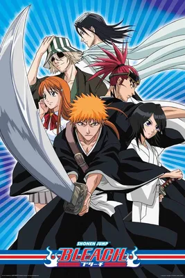 Bleach (TV Series 2004–2023) - Plot - IMDb картинки