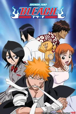 How the Bleach Anime Ended картинки