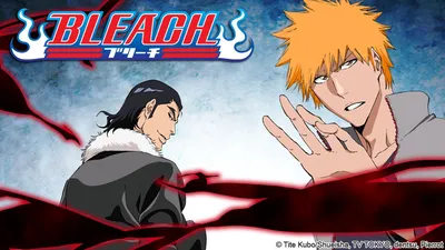 Watch Bleach - Crunchyroll картинки