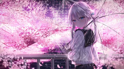 anime wallpaper hd for ipad | Samurai anime, Anime wallpaper, Anime картинки