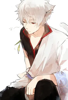 Gintoki with cat ears :D | Anime, Anime cat boy, Anime neko картинки