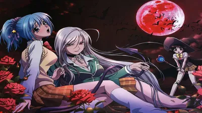 Обои на рабочий стол Лицо Мока Акасии / Moka Akashiya крупным планом из  аниме ''Rosario + Vampire'' / ''Розарио + Вампир'', обои для рабочего  стола, скачать обои, обои бесплатно картинки