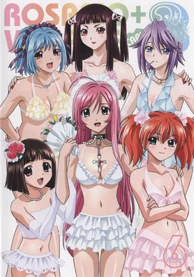 Розарио + Вампир / Rosario + Vampire (2008): рейтинг и даты выхода серий картинки