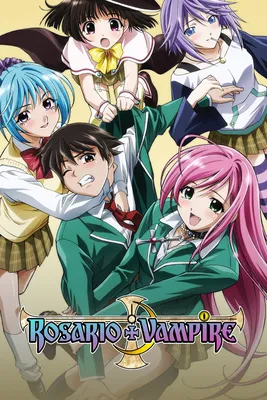 Аниме «Розарио + Вампир — 2» / Rosario to Vampire Capu2 / Rosario + Vampire  Capu2 — трейлеры, дата выхода | КГ-Портал картинки