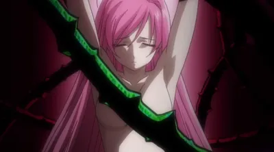 Список персонажей Rosario + Vampire — Википедия картинки