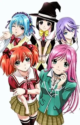 Rosario + Vampire / Крестик + Вампир [13 из 13] » Лучшее аниме смотреть  онлайн бесплатно - AniDUB Online, официальный сайт картинки