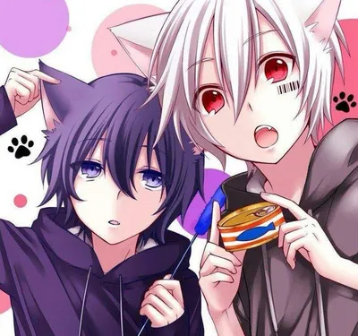 Картинки по запросу парни с ушками | Anime cat boy, Anime, Anime neko картинки