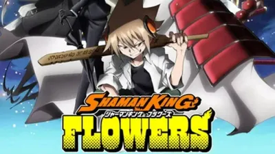 Shaman King Anime Sequel Announced картинки