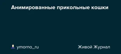 анимированные обои рабочего стола / смешные картинки и другие приколы:  комиксы, гиф анимация, видео, лучший интеллектуальный юмор. картинки