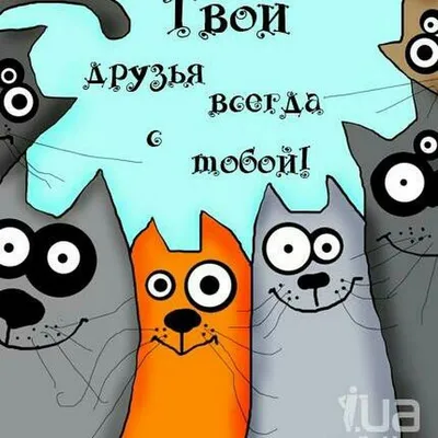 На днях гуляя по Тель-Авиву встретил вот такого \"ноздрястого\" котика,а  может это и кошечка,кончик уш / Израиль :: окрас :: под катом еще одна ::  банда :: Тель-Авив :: страны :: котэ ( картинки